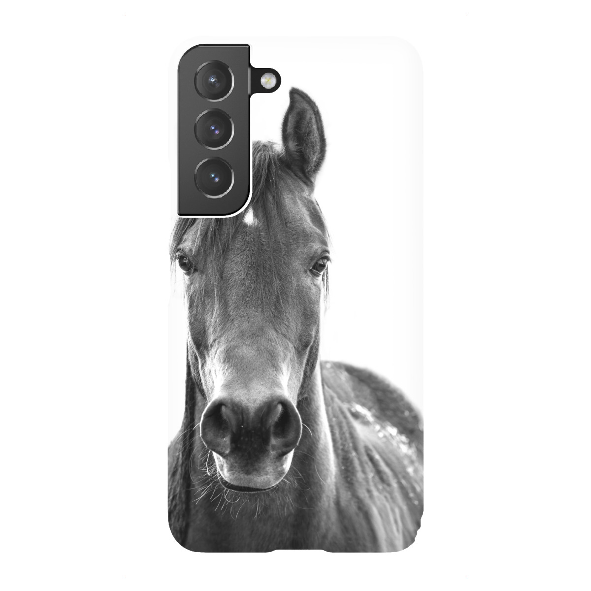 "Black and White Horse"für Samsung Galaxy - Premium-Case Handyhülle artboxONE