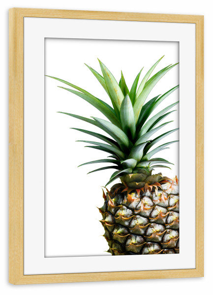 Poster mit Rahmen kiefer "Pineapple Colour" artboxONE - Natur,Floral - Tropisch,Ananas,Natur,Obst,Ananas,Frucht,Gesund,Gesund,Vegan,Obst