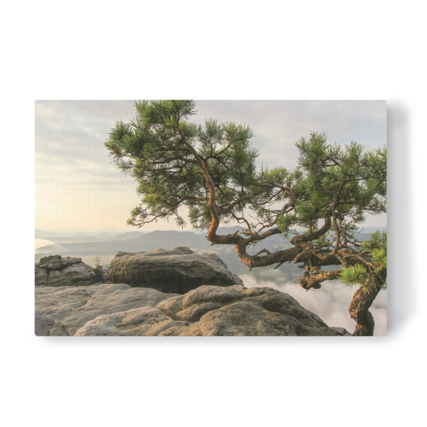 Leinwandbild "Lilien stone" artboxONE - Natur
