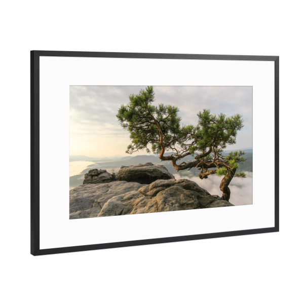 Poster mit Rahmen Schwarz (Metallic) "Lilien stone" artboxONE - Natur