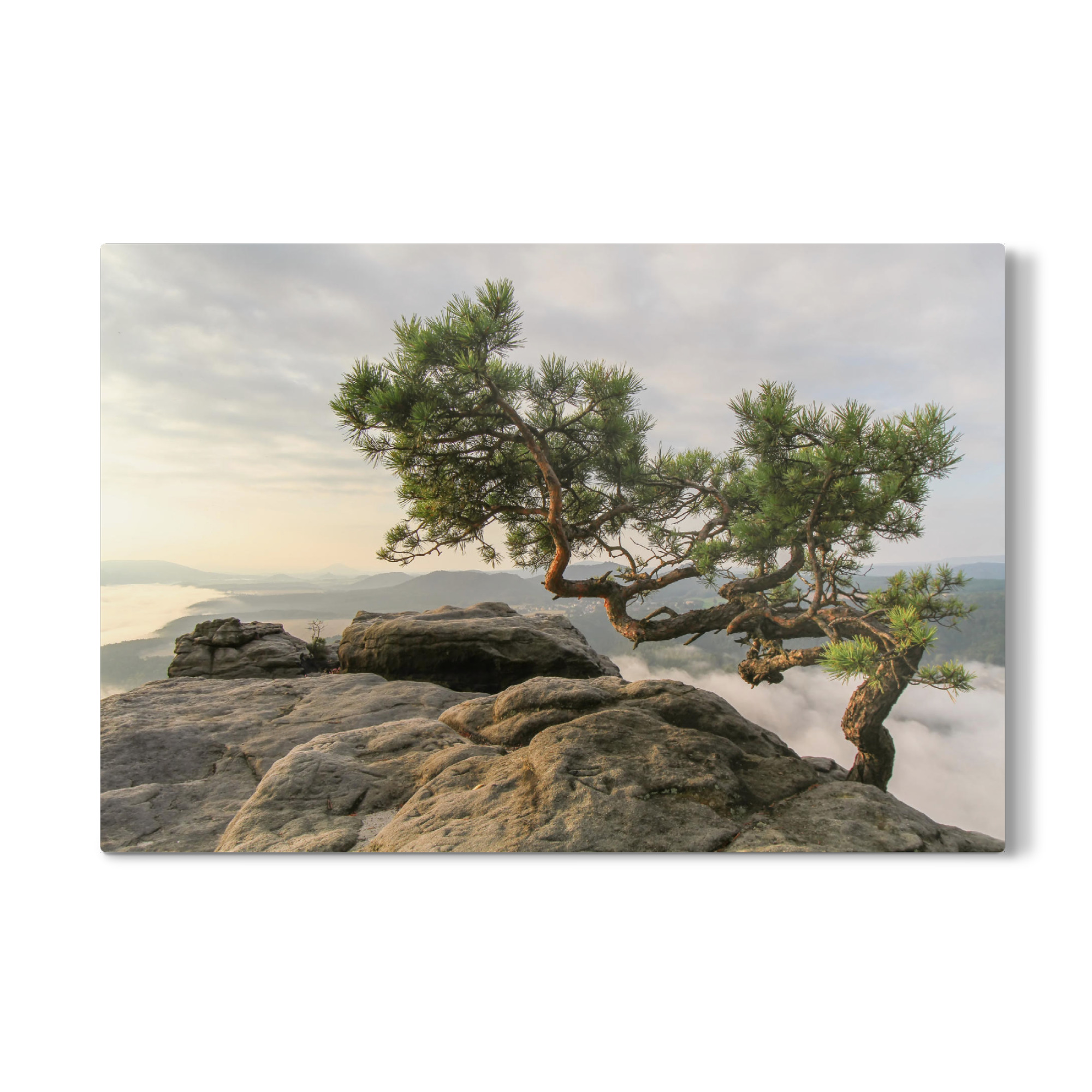 Galerie-Print "Lilien stone" 75x50 cm artboxONE