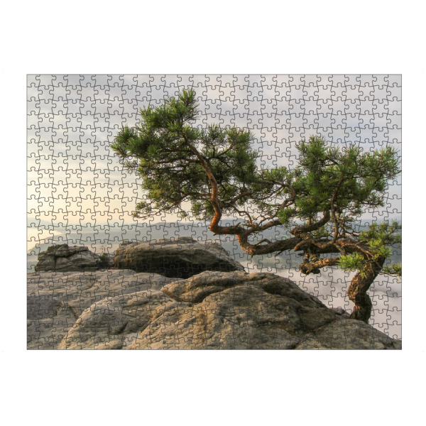 Puzzle Ravensburger "Lilien stone" artboxONE - Natur