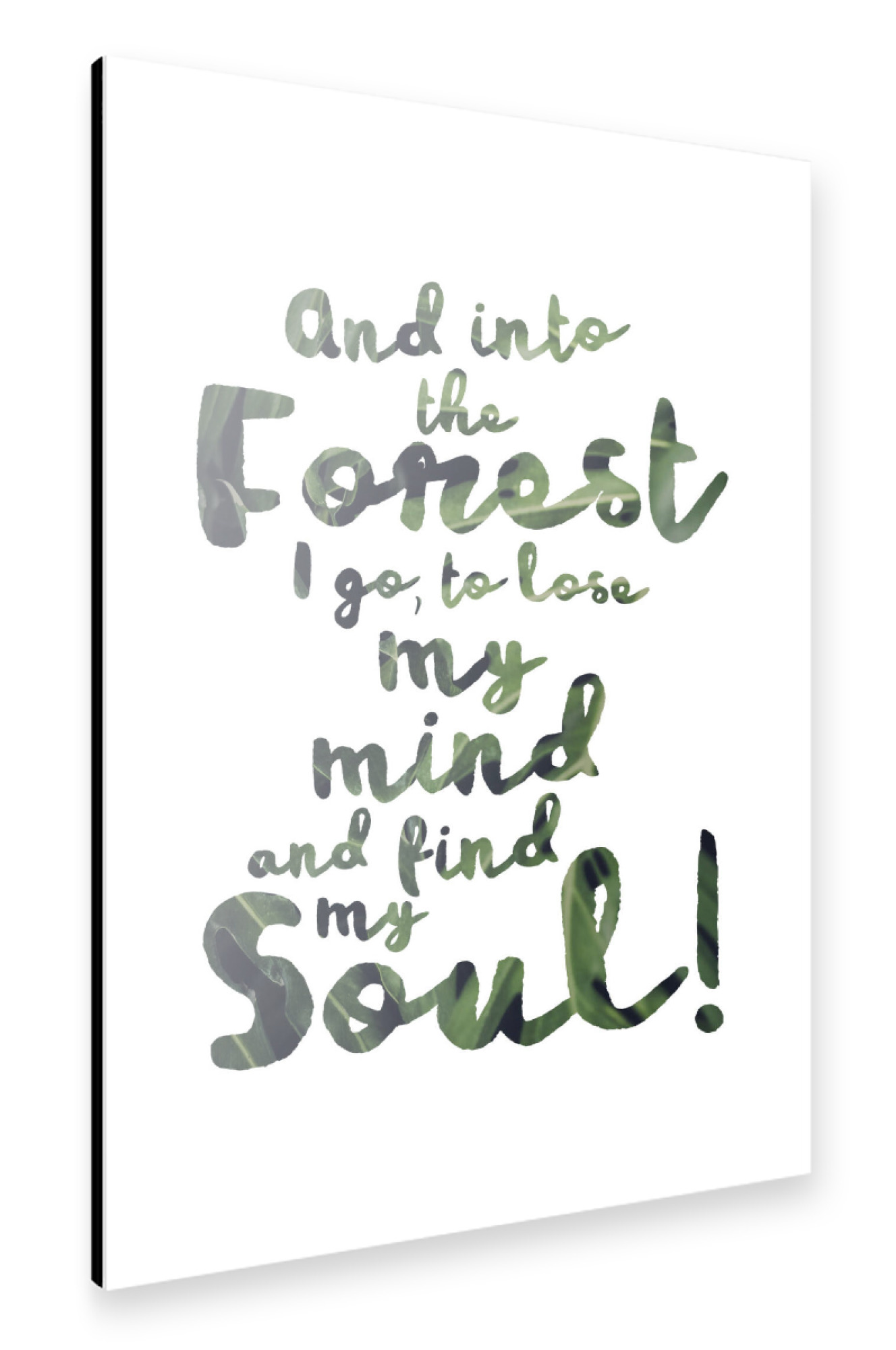Alu-Dibond "Into the Forest" 30x20 cm artboxONE