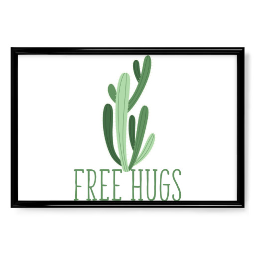 Free hugs cactus