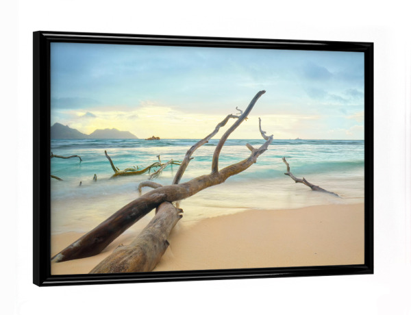 Poster mit schwarzem Rahmen "Lost in time" artboxONE - Natur - Strand,Meer,Baum