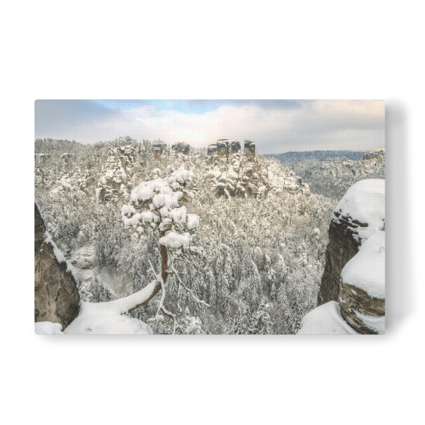 Leinwandbild "Basteikiefer in der Sächsischen Schweiz im Winter" artboxONE - Natur,Reise