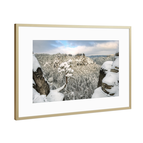 Poster mit Rahmen Gold "Basteikiefer in der Sächsischen Schweiz im Winter" artboxONE - Natur,Reise