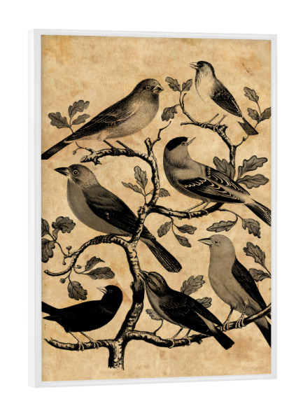 Poster mit weißem Rahmen "Vögel auf einem Zweig" artboxONE - Tiere