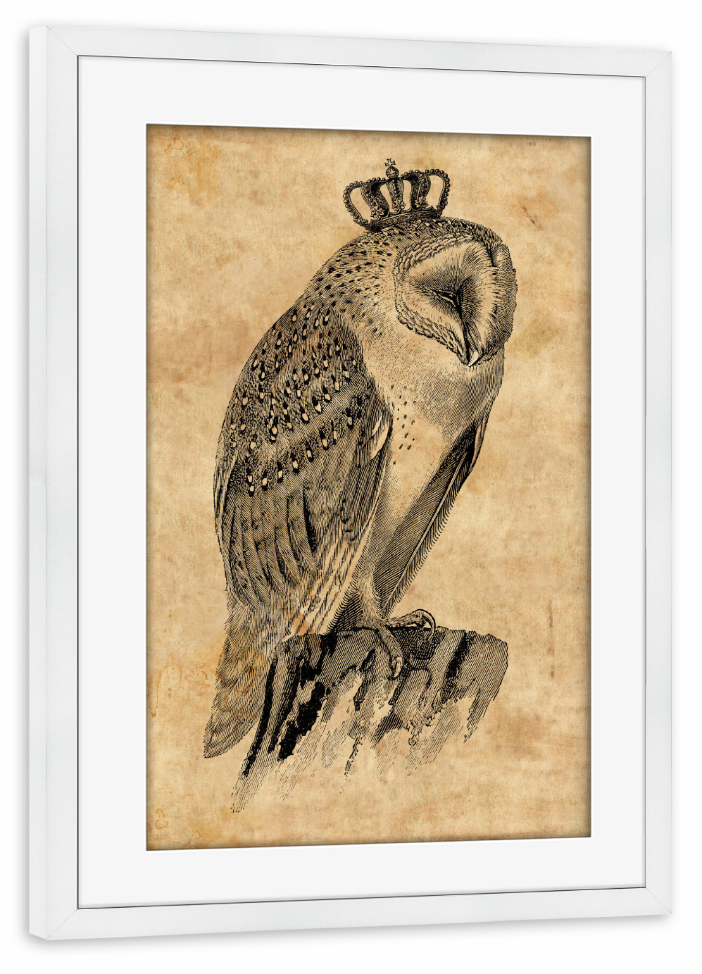 Poster mit Rahmen weiß "Eule mit Krone" artboxONE - Tiere - Eule mit krone,Eule,Krone,Vogel mit krone,Vogel,Vintage,Tier,Majestätisch,Majestät,Royal