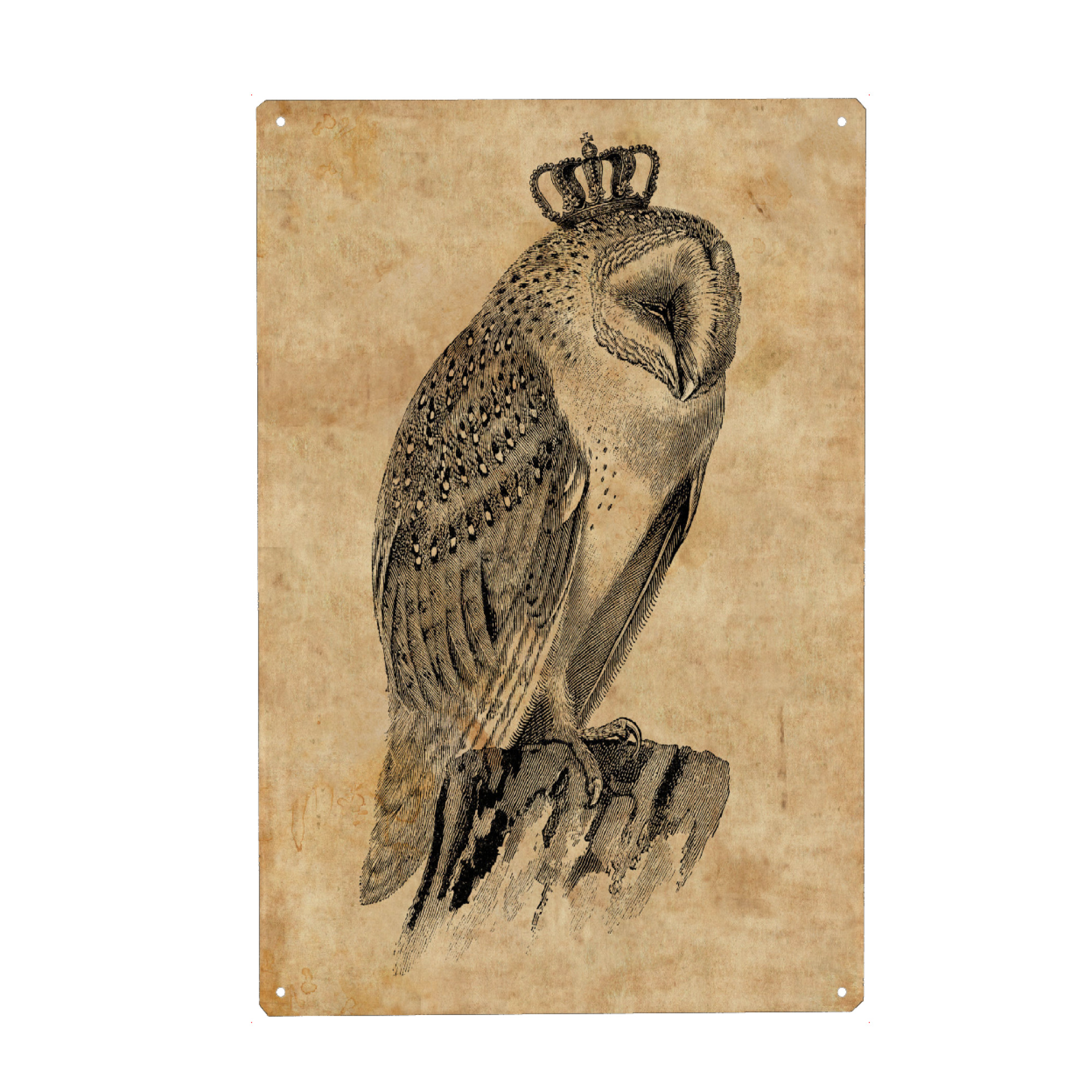 Metall Poster "Eule mit Krone" artboxONE - Tiere - Eule mit krone,Eule,Krone,Vogel mit krone,Vogel,Vintage,Tier,Majestätisch,Majestät,Royal