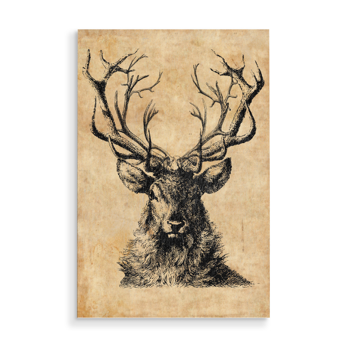 bild hirsch vintage