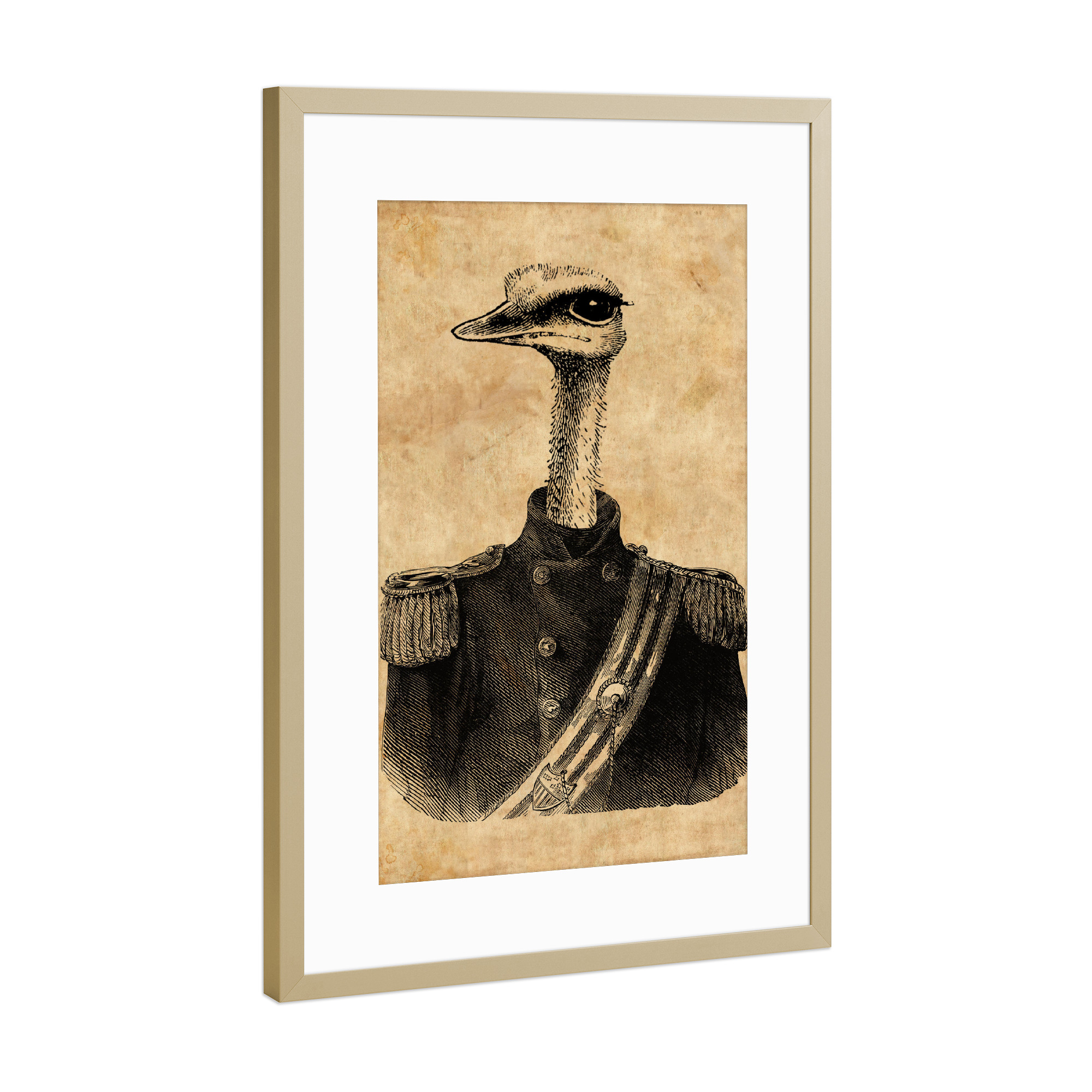Poster mit Rahmen Gold "General Strauß" artboxONE - Tiere