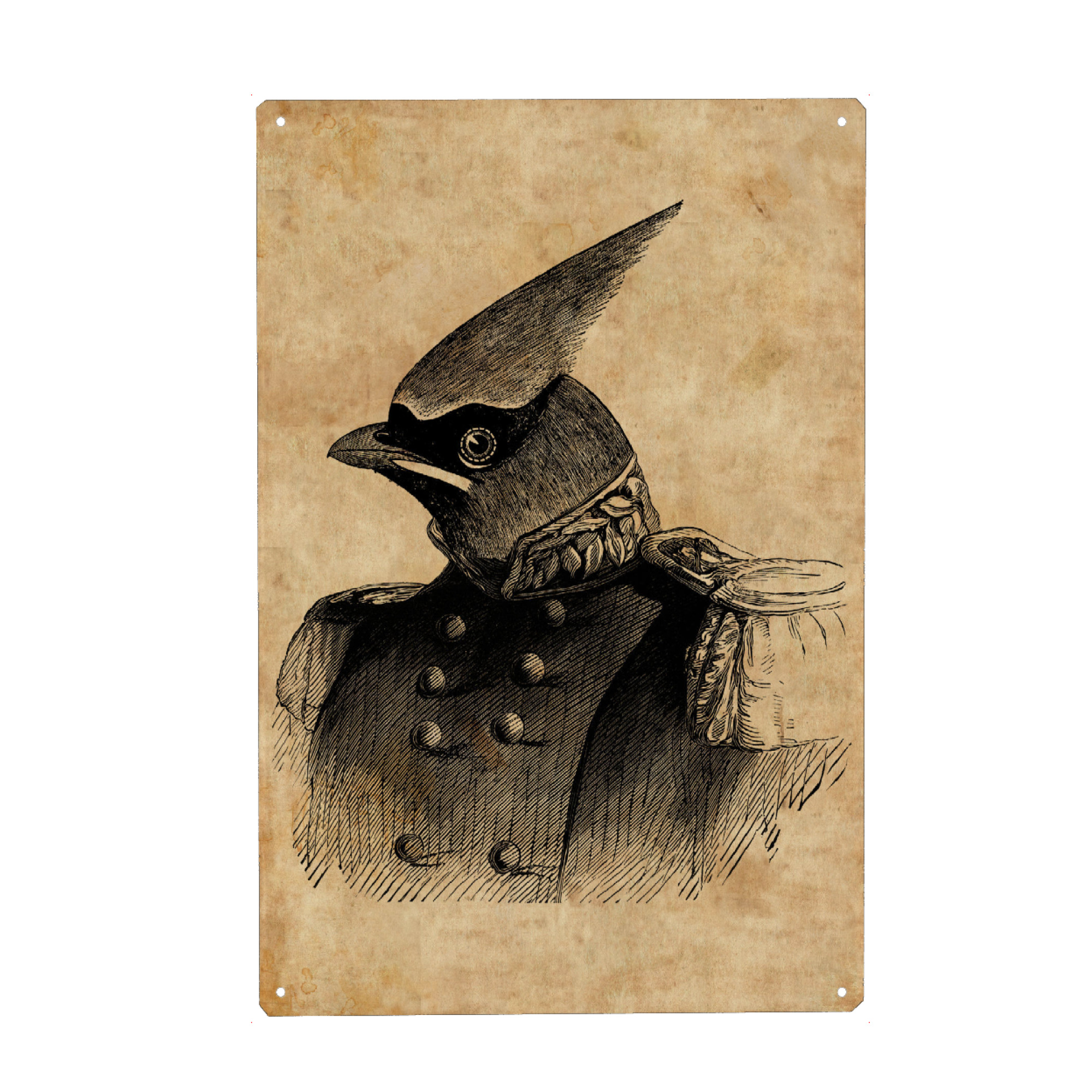 Metall Poster "General Seidenschwänze" artboxONE - Tiere