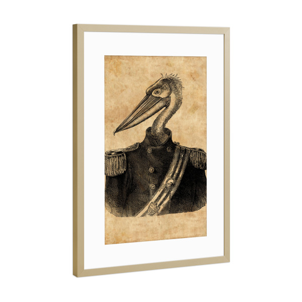 Poster mit Rahmen Gold "General Pelikan" artboxONE - Tiere