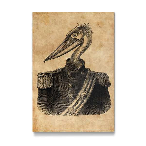 Galerie-Print "General Pelikan" 30x20 cm artboxONE