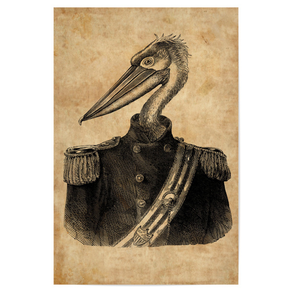 Poster "General Pelikan" artboxONE - Tiere