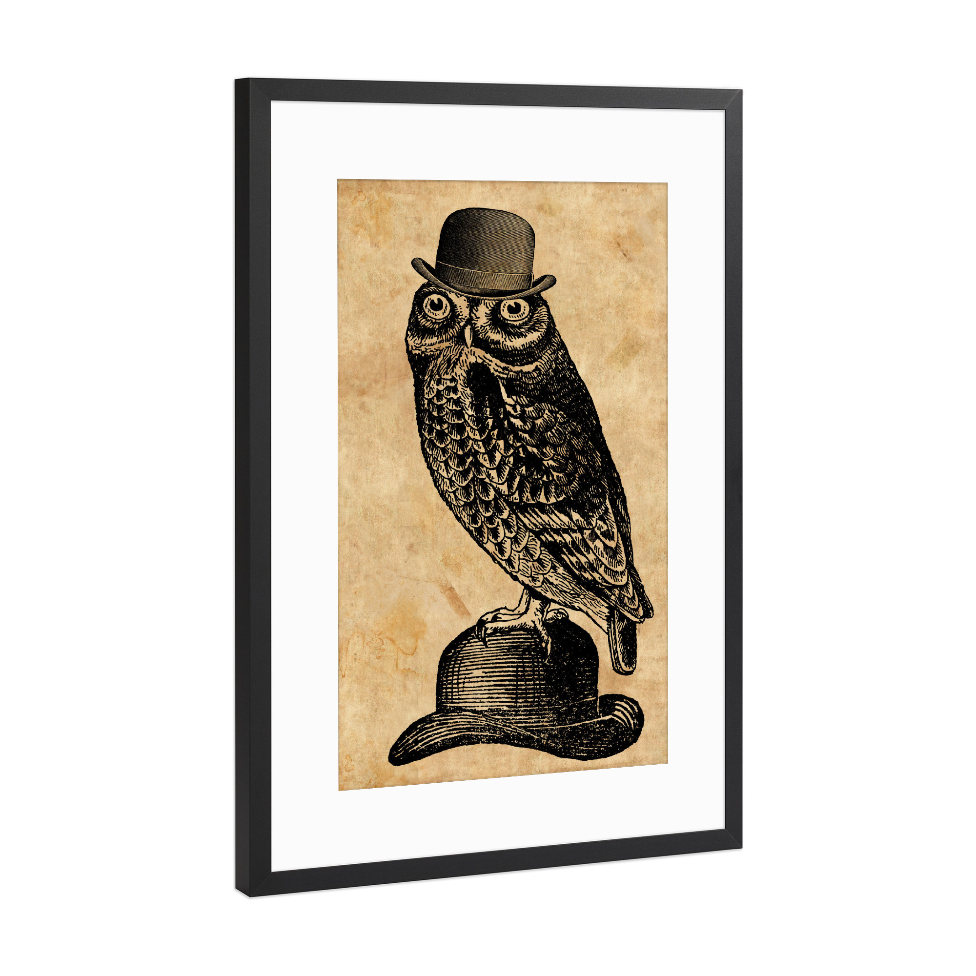 Poster mit Rahmen Schwarz (Metallic) "Eule in einem Hut" artboxONE - Tiere,Fashion - Eule in einem hut,Eule,Hut,Melone,Tier,Wald,Wirbeltier,Lustig