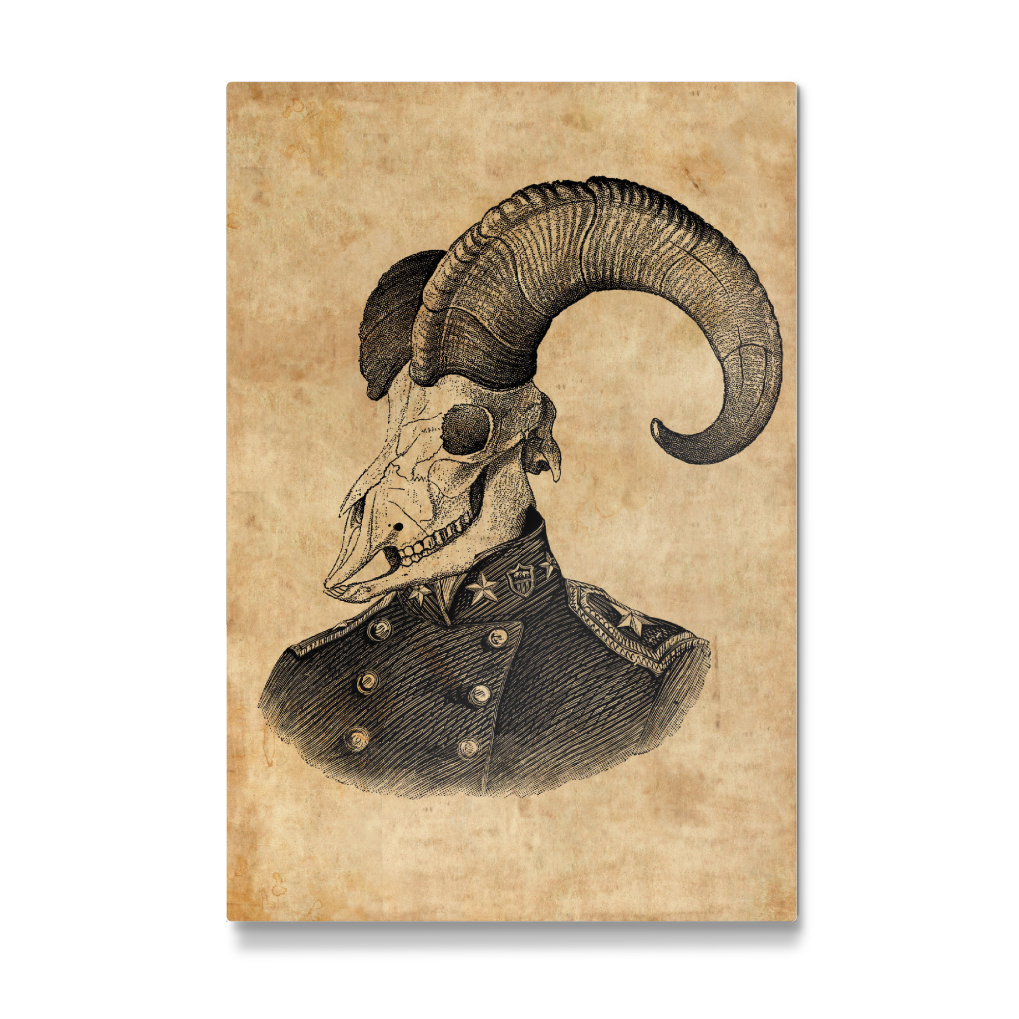 Galerie-Print "Steampunk Ziegenschädel" 30x20 cm artboxONE