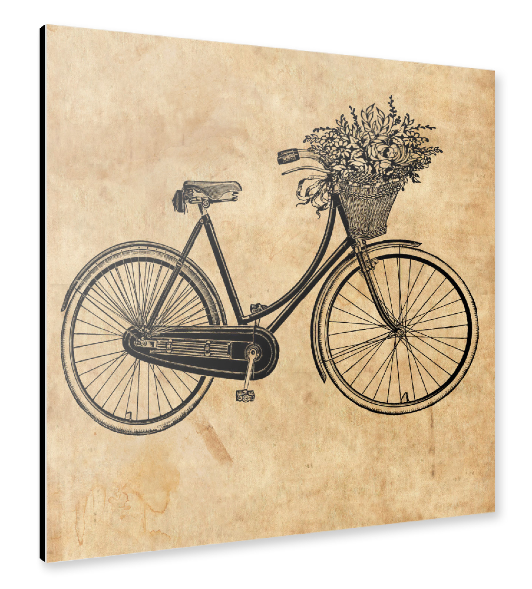 Alu-Dibond "Fahrrad und Blumen" 30x30 cm artboxONE