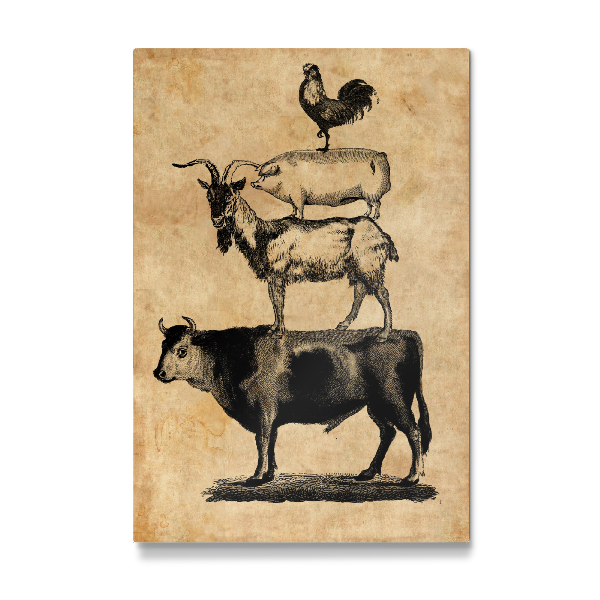 Galerie-Print "Nutztiere - Schwein, Kuh, Ziege und Hahn" 30x20 cm artboxONE