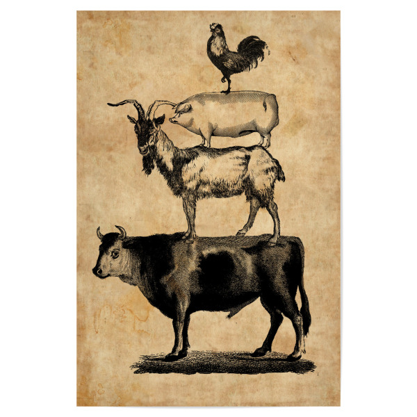 Poster "Nutztiere - Schwein, Kuh, Ziege und Hahn" artboxONE - Tiere