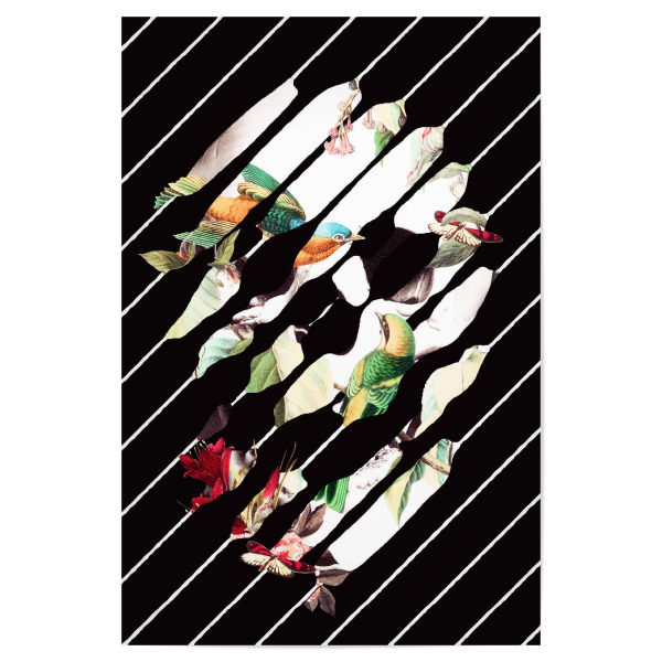 Poster "Memory" artboxONE - Natur,Floral,Schwarzweiß