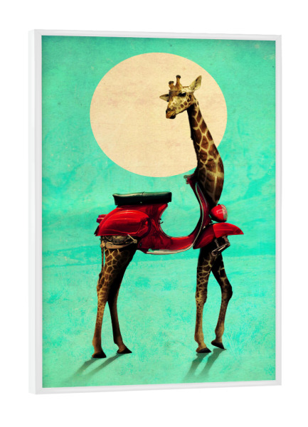 Poster mit weißem Rahmen "Giraffe 2" artboxONE - Natur,Tiere - Giraffe,Tier,Illustration,Kunst,Entwurf,Muster,Mofa,Rolle,Tier,Wald,Abstrakt,Zoo
