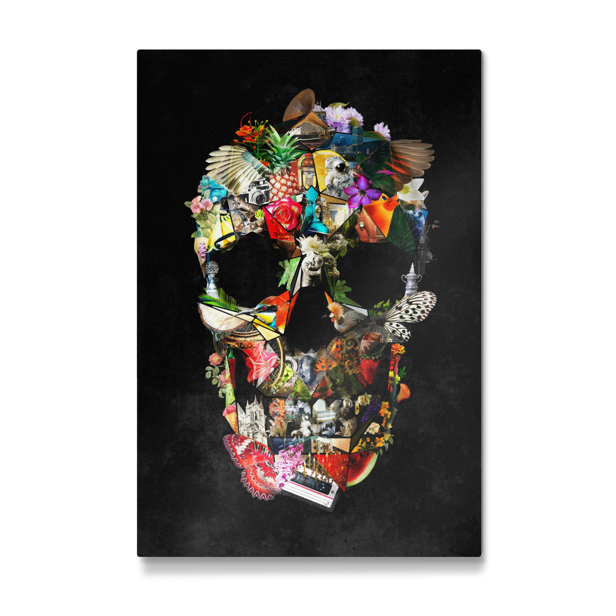 Galerie-Print "Fragile Skull" 75x50 cm artboxONE