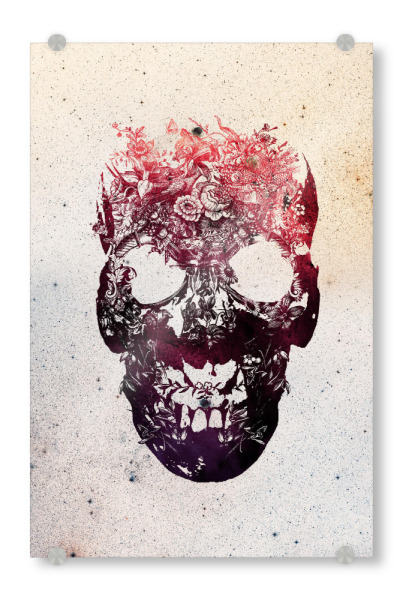 Acrylglasbild "Floral Skull" artboxONE - Natur,Floral