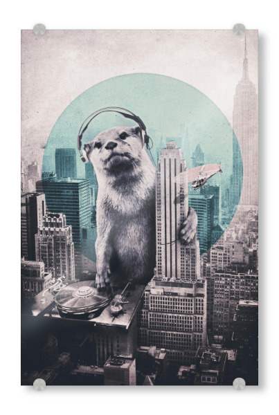 Acrylglasbild "Dj" artboxONE - Tiere,Comic,Musik,Festivals