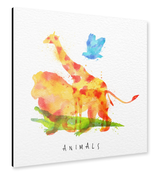Alu-Dibond "Animals II" 30x30 cm artboxONE