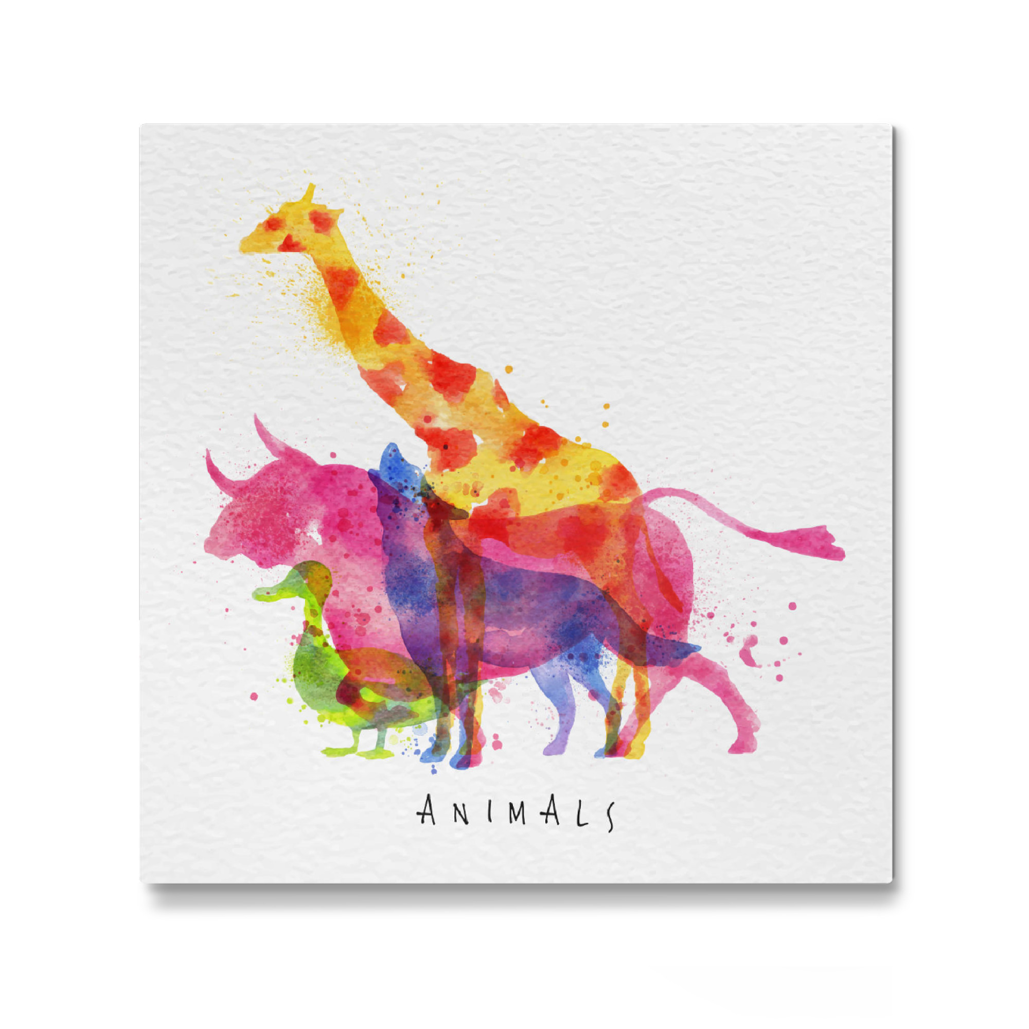 Galerie-Print "Animals III" 30x30 cm artboxONE