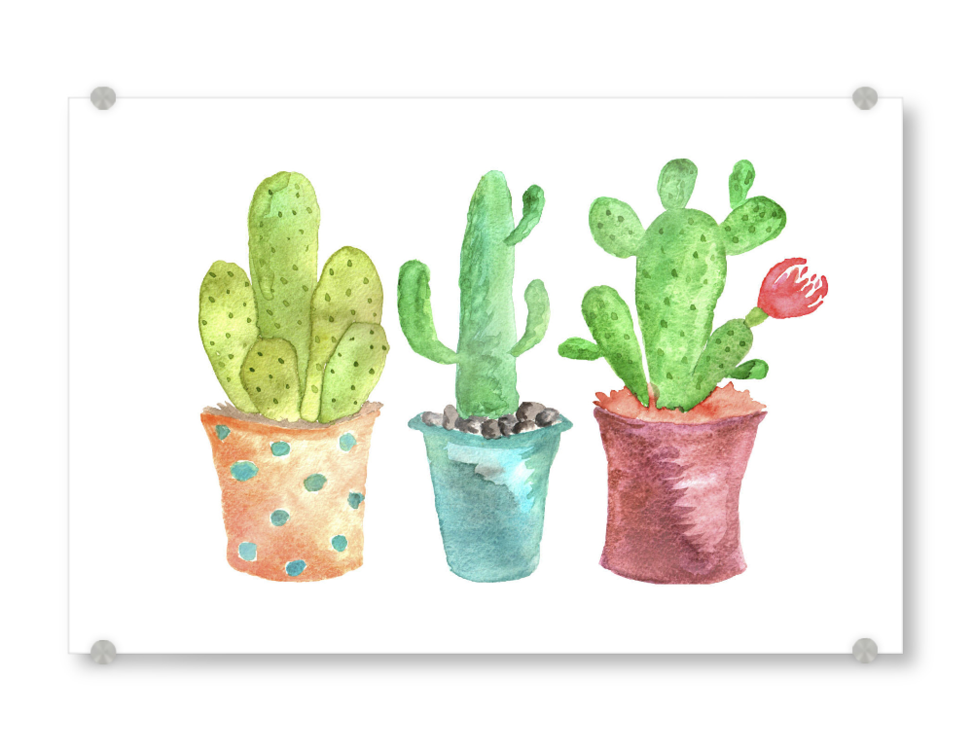 Acrylglasbild "Watercolor Cactus 2" artboxONE - Floral,Für Kinder,Schwarzweiß