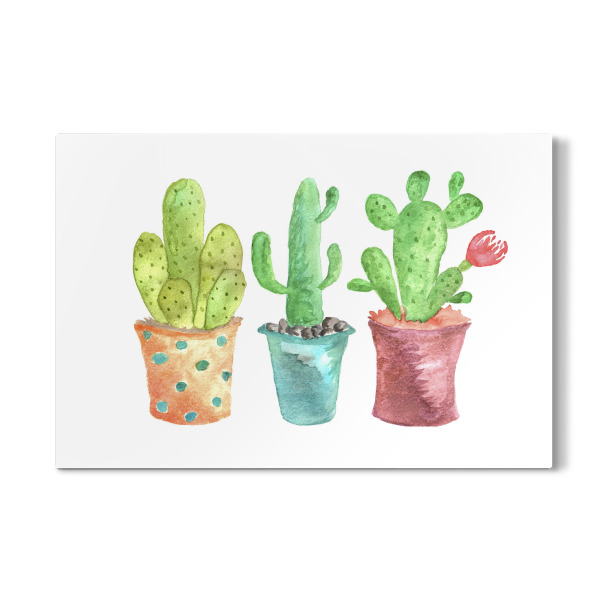 Galerie-Print "Watercolor Cactus 2" 30x20 cm artboxONE