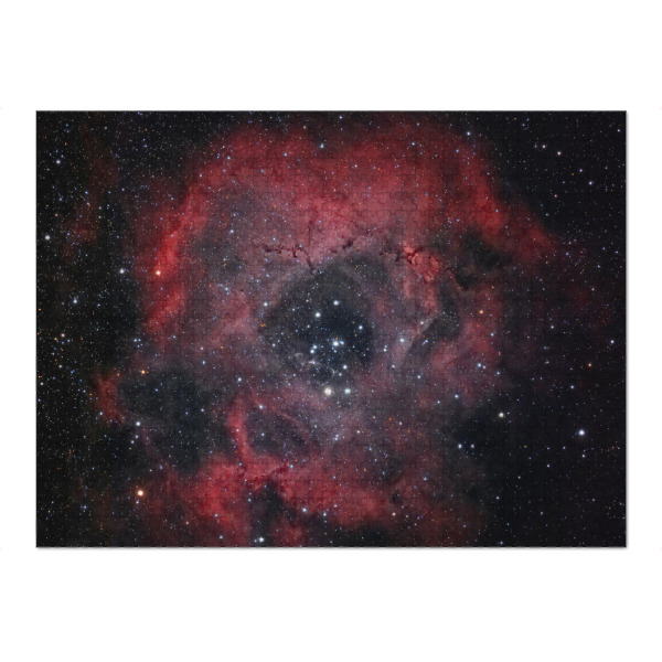 Puzzle Ravensburger "Rosettennebel NGC 2237" artboxONE - Natur,Fiktion,Galaxy