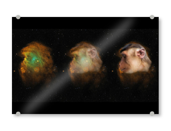 Acrylglasbild "Affenkopfnebel" artboxONE - Natur,Fiktion,Galaxy