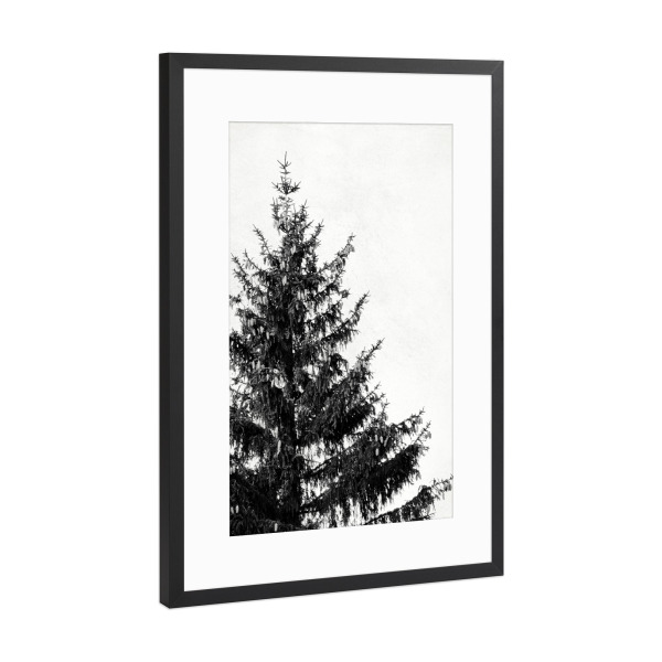 Poster mit Rahmen Schwarz (Metallic) "Black and White Pine Tree Left" artboxONE - Natur,Schwarzweiß,Weihnachten