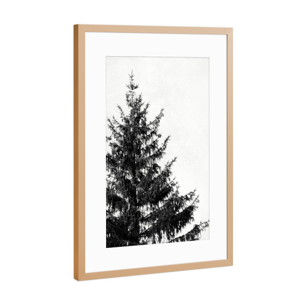 Poster mit Rahmen Kupfer "Black and White Pine Tree Left" artboxONE - Natur,Schwarzweiß,Weihnachten