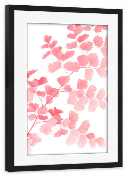 Poster mit Rahmen schwarz "Pink Maidenhair Fern Leaves" artboxONE - Natur,Floral