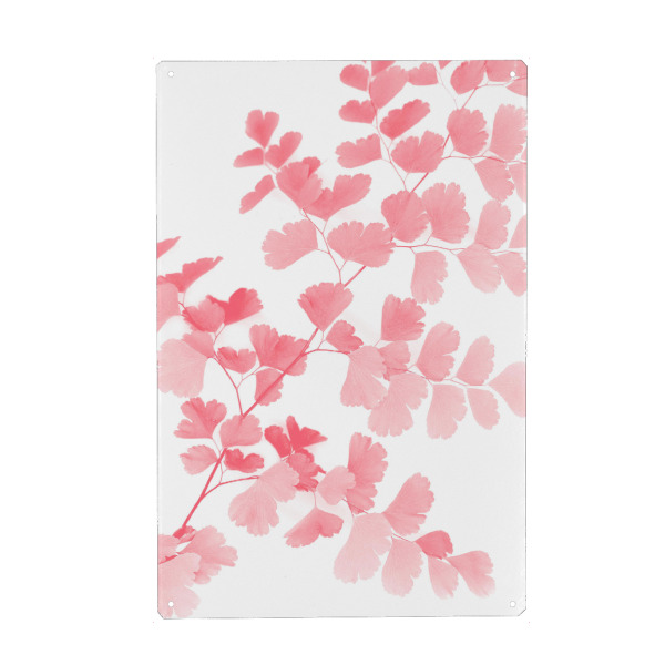 Metall Poster "Pink Maidenhair Fern Leaves" artboxONE - Natur,Floral