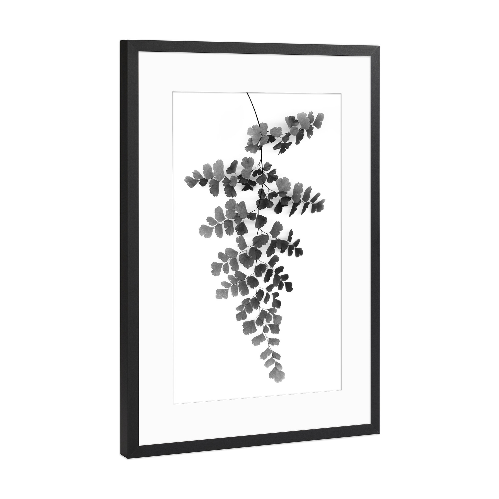 Poster mit Rahmen Schwarz (Metallic) "Black Maidenhair Fern Leaf" artboxONE - Natur,Floral