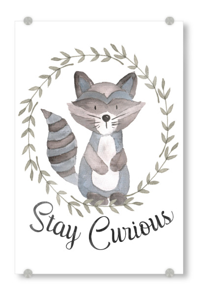 Acrylglasbild "Stay Curious 3" artboxONE - Für Kinder,Schwarzweiß