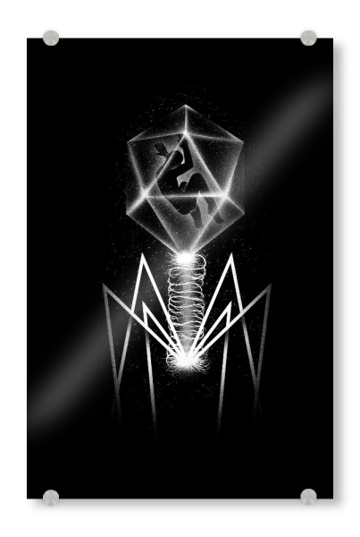 Acrylglasbild "Bacteriophage" artboxONE - Fiktion - Bakteri,Dna,Natur,Mensch,Weltraum,Abstrakt,Geometrisch
