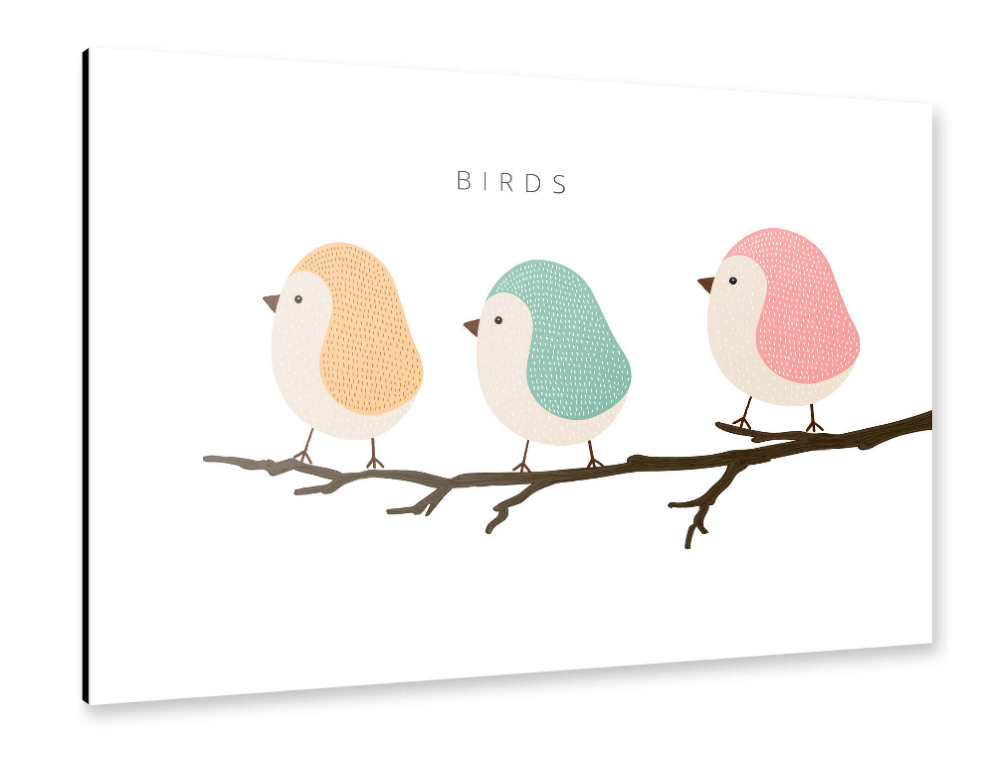 Alu-Dibond "BIRDS" 75x50 cm artboxONE
