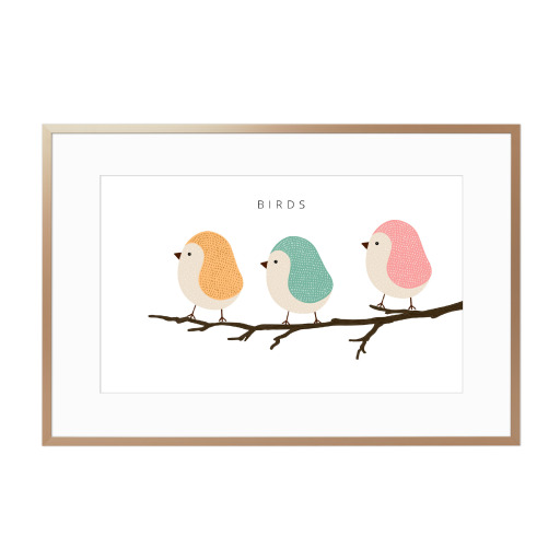 BIRDS