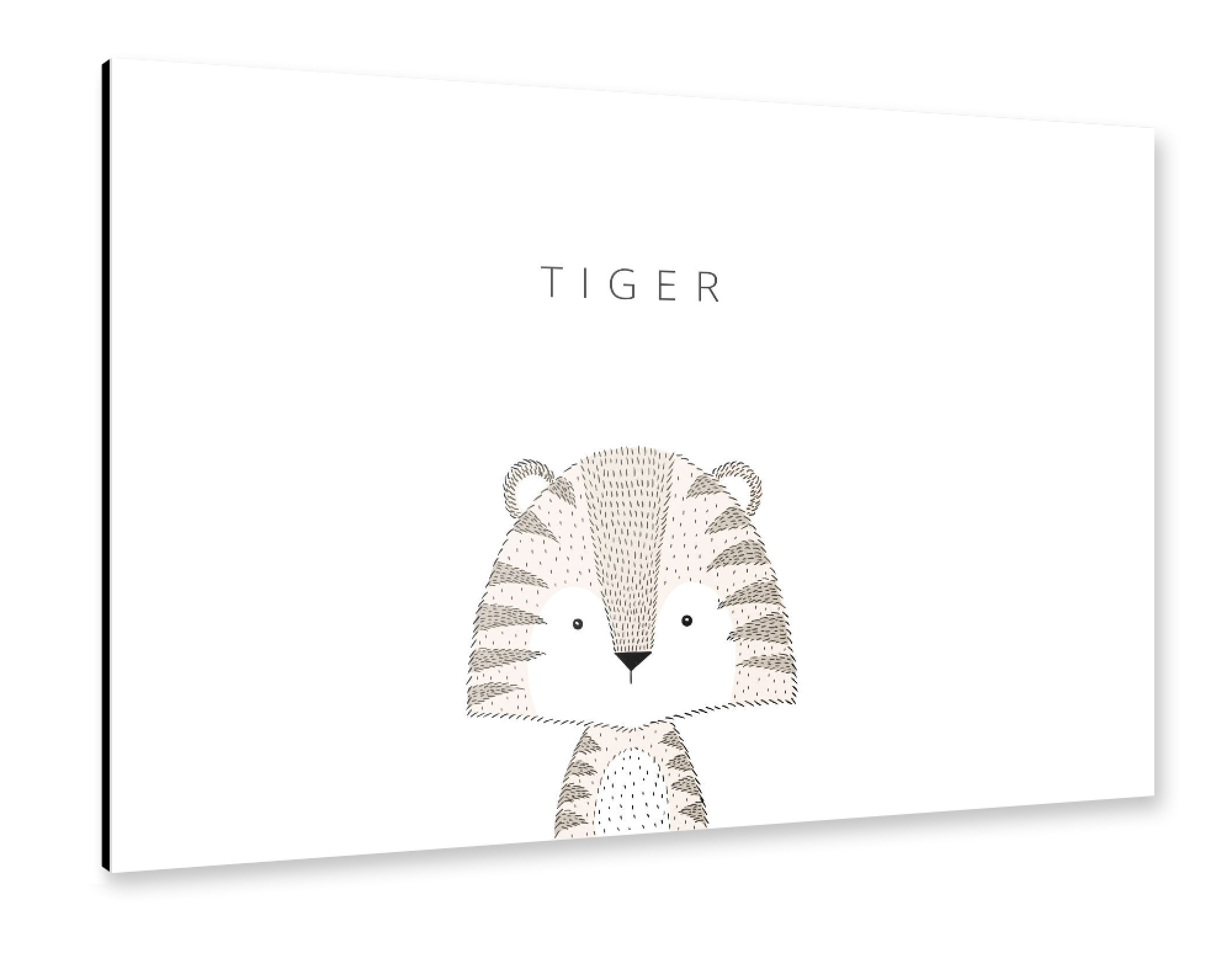 Alu-Dibond "TIGER" 75x50 cm artboxONE