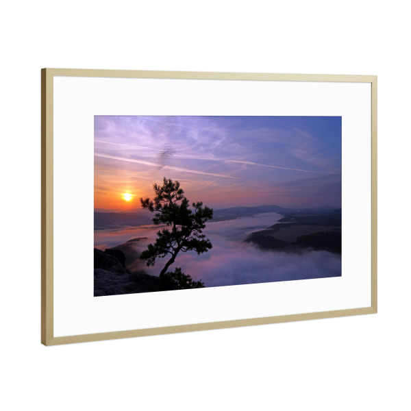 Poster mit Rahmen Gold "Lilienstein 3" artboxONE - Natur