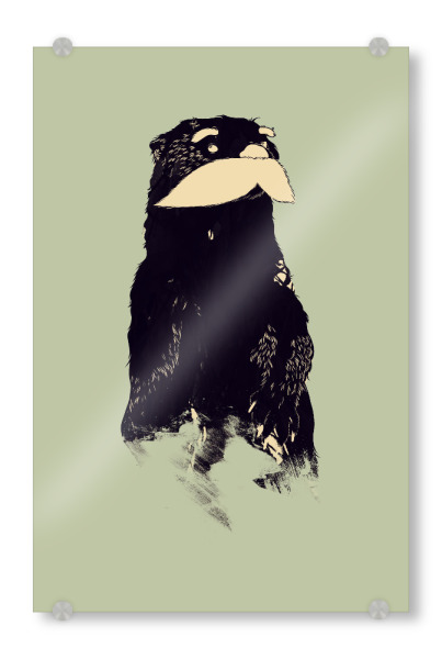 Acrylglasbild "An Other Moustache" artboxONE - Tiere - Schnurrbart,Tiere,Schnäuzer,Otter,Otten,Bieber,Hipster,Bart,Movember