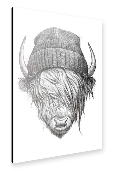 Alu-Dibond "Highland cattle" 30x20 cm artboxONE
