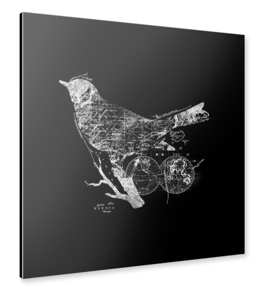 Alu-Dibond "Bird Wanderlust" 30x30 cm artboxONE